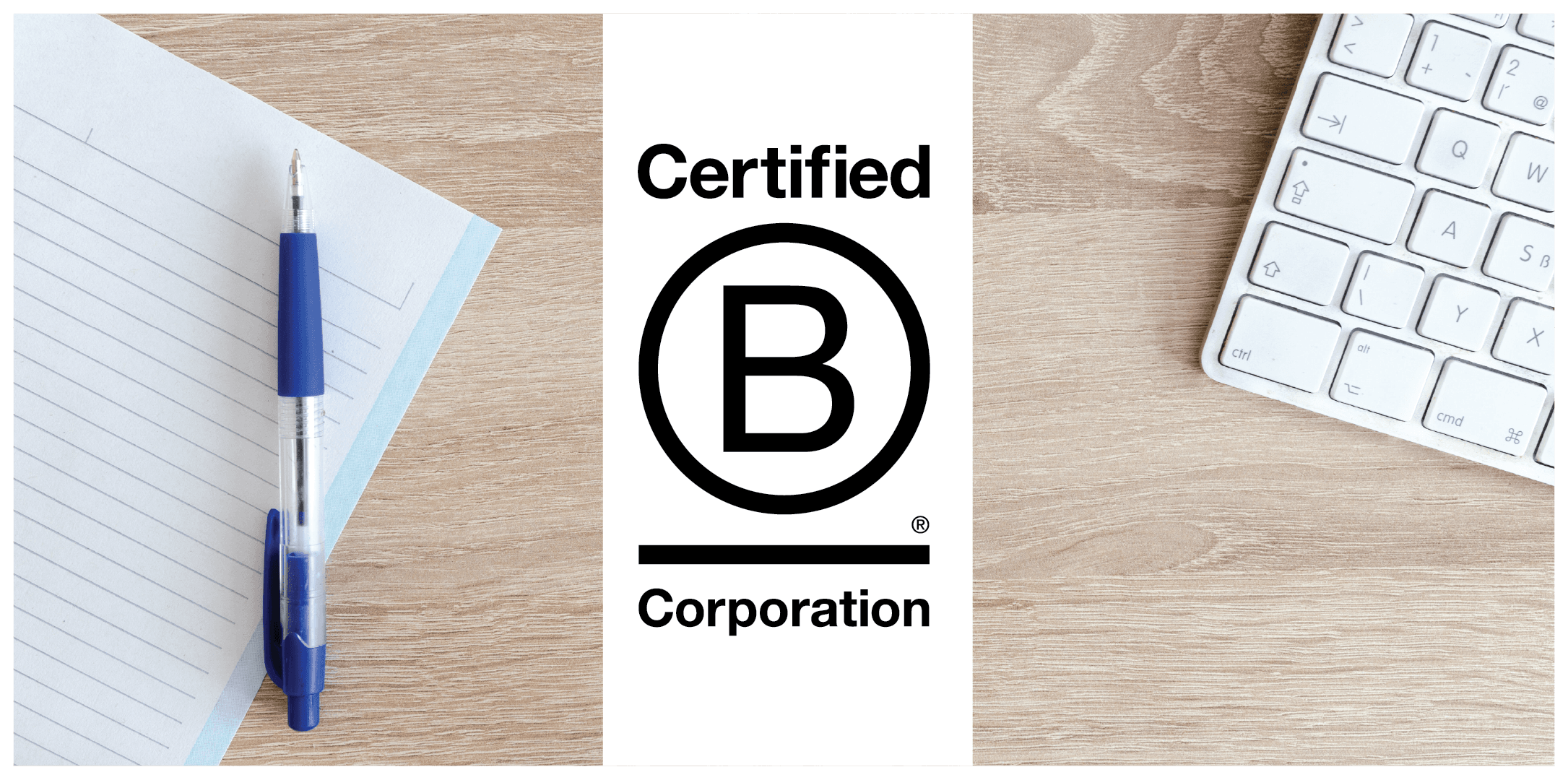 B Corp Recertification article featured image