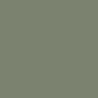Gray/Green product color option swatch