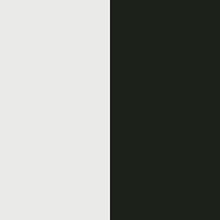 White/Forest swatch