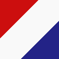 American Flag swatch