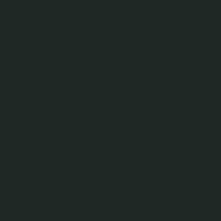 French Black Paperboard swatch