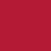 Scarlet Red swatch