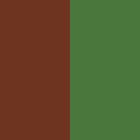 Brown Evergreen