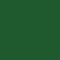 Sport Dark Green swatch