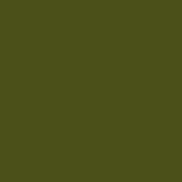 Turtle Green swatch
