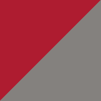 Gray/Red product color swatch