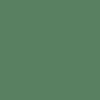 Eco Dark Green product color option swatch