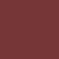 Eco Maroon product color option swatch