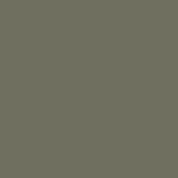 Grey Sage product color option swatch
