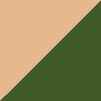 Natural/Dark Green swatch