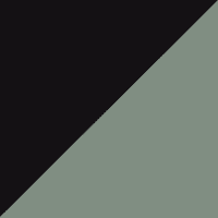 Light Grey Black swatch