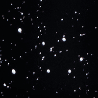 Black Speckle swatch