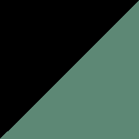 Dark Charcoal/Retro Kelly Green swatch