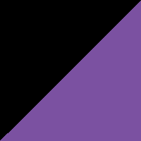 Dark Charcoal/Retro Purple swatch