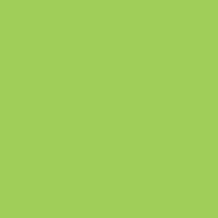 Neon Green swatch