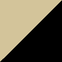Black Tan swatch