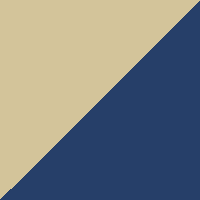 Navy Tan swatch