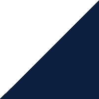 White Navy Blue swatch
