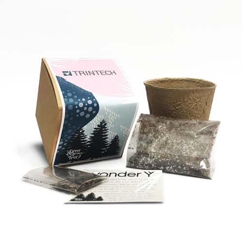 Pine Plantable Grow Kit - Main product view 1