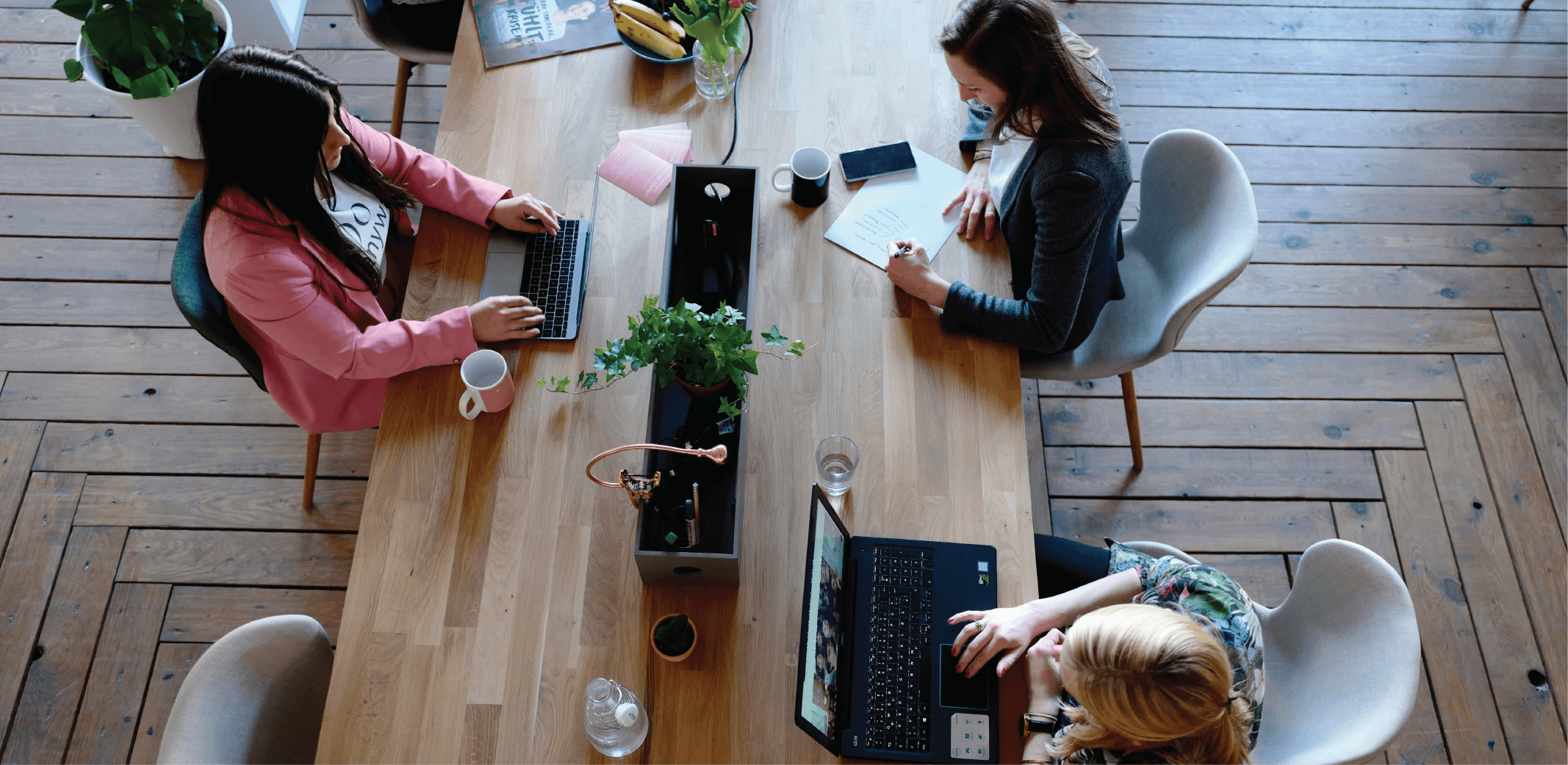 Navigating Sustainability in Small Businesses and Startups: A Practical Guide blog post image