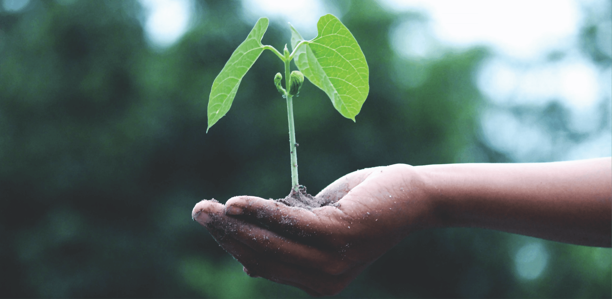 6 Impactful Ways Procurement Managers Can Help Achieve Sustainable Development Goals article featured image