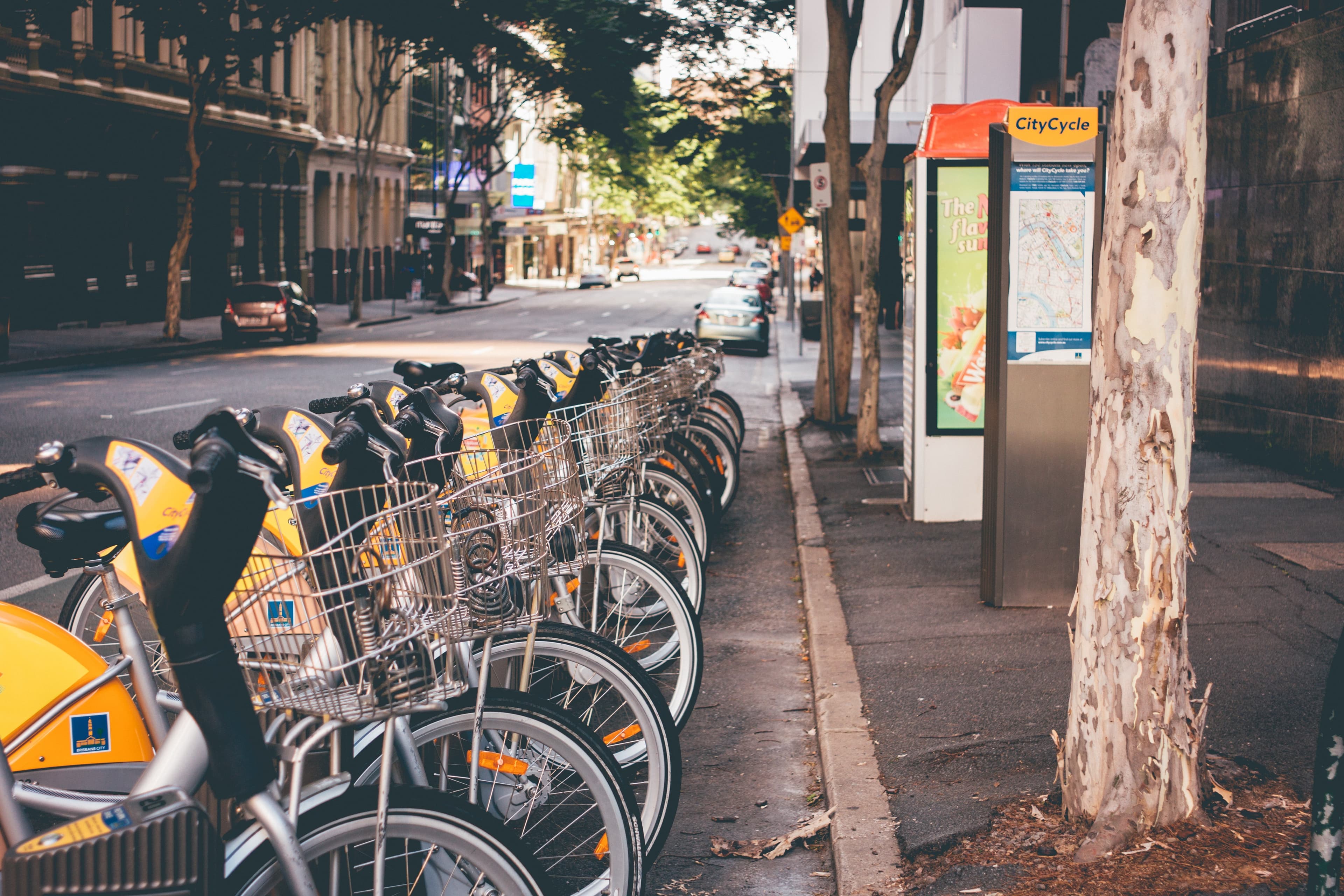 Minimizing The Cost: A Guide To Your Post-COVID, Ecological Reformation article featured image