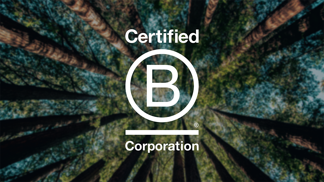 Why Our B Corp Certification Is More Than Just a Badge