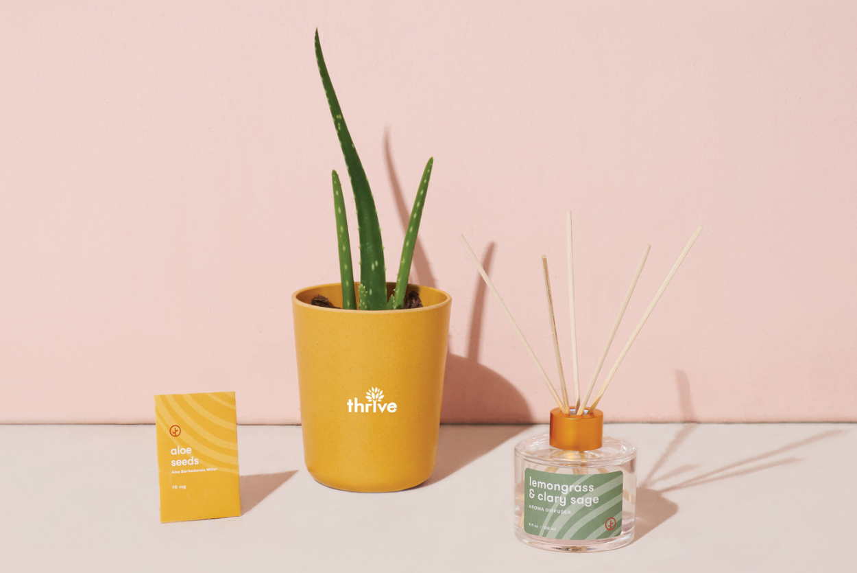 Corporate Gift Ideas for Employees 2024