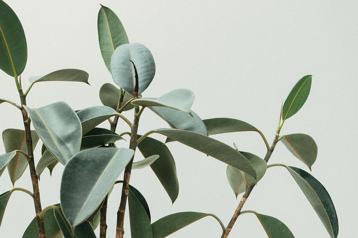 Sustainability and the New Bottom Line