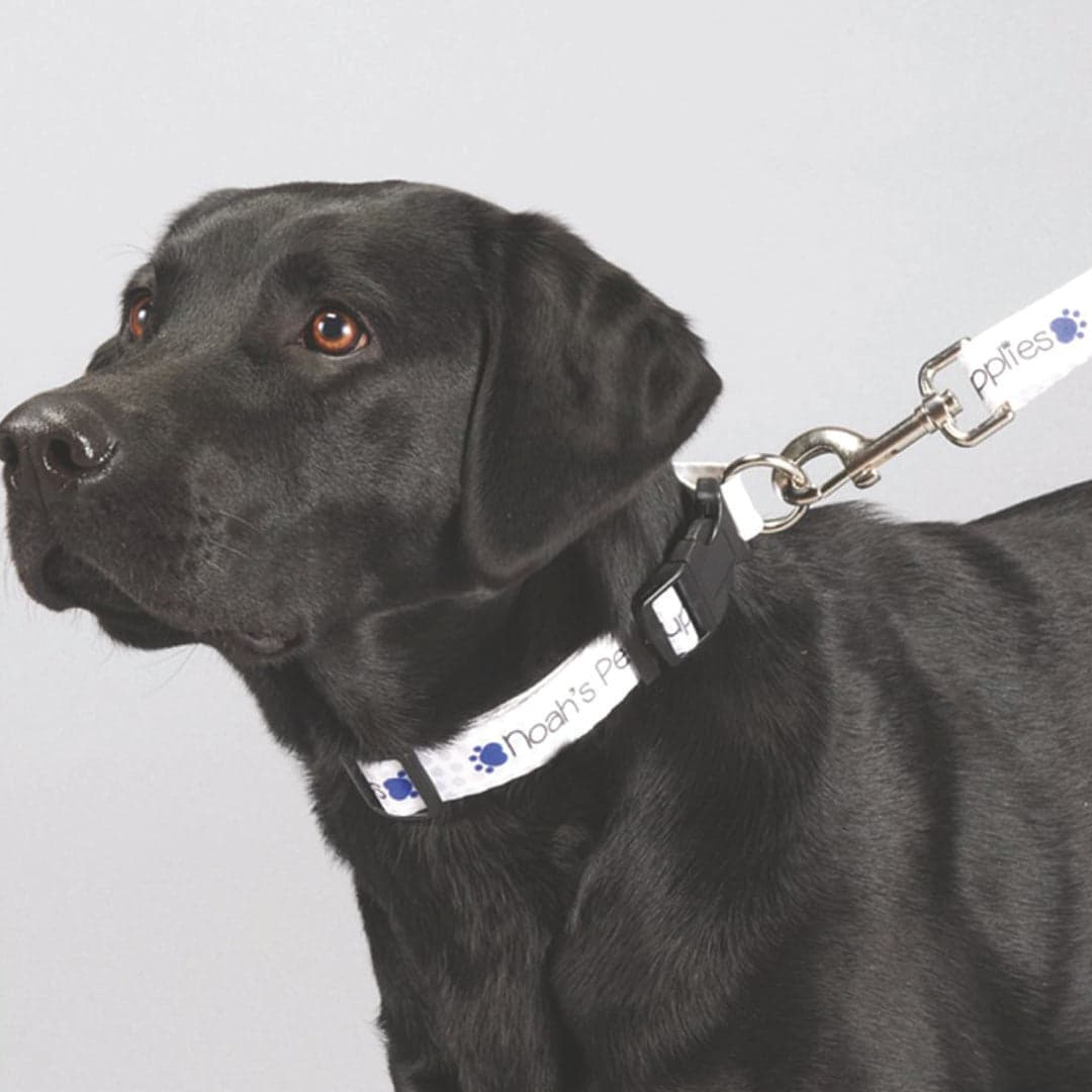 Doggo Pet Leash 1 Inch Wide product image 4