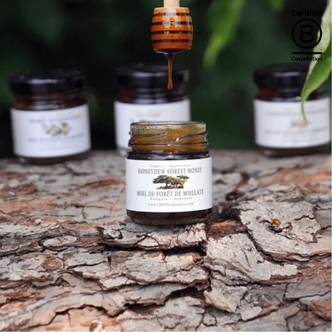Mini Honeydew Forest Honey - Main product view 1