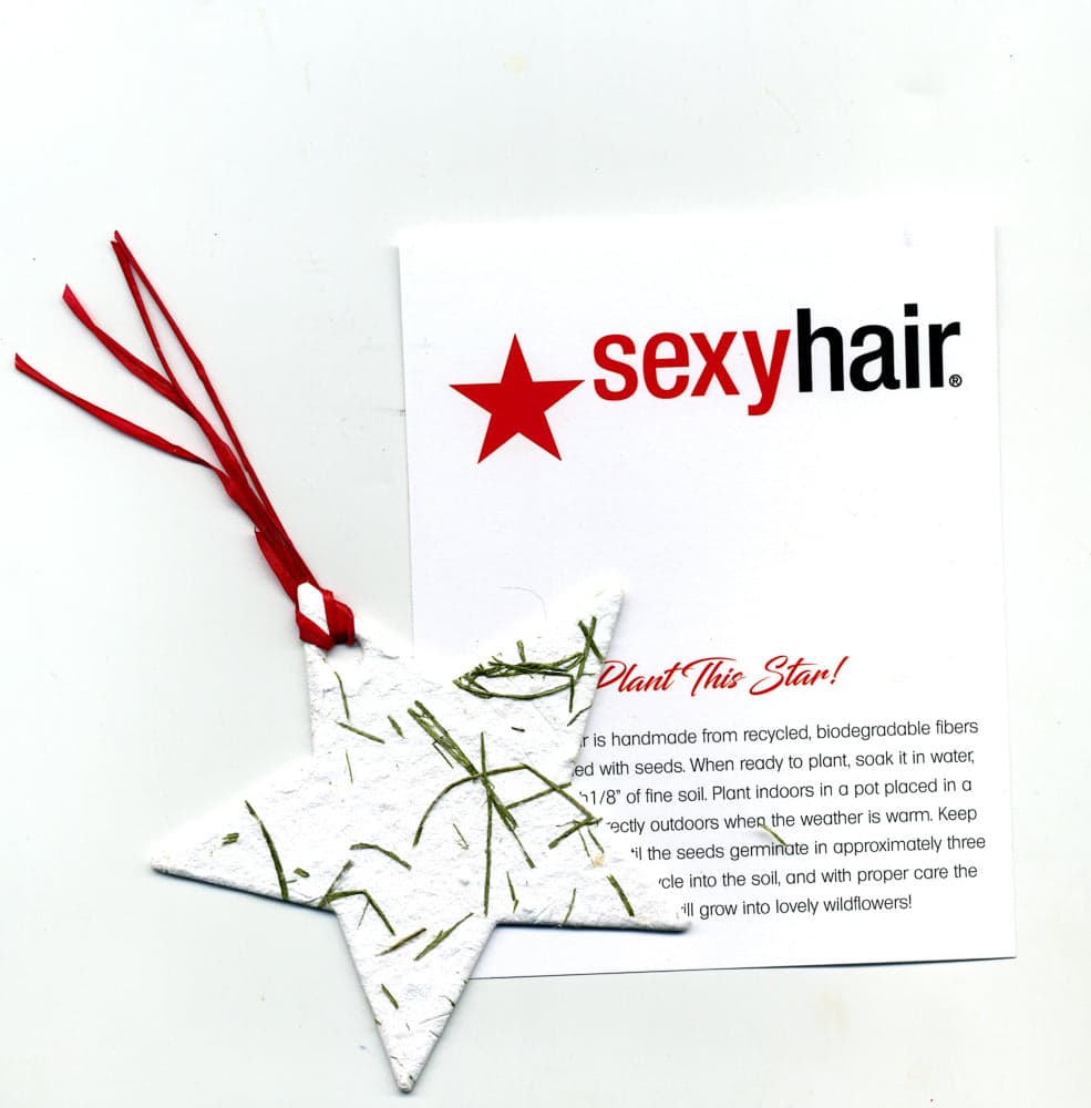 Shaped Seed Paper Air Freshener product image 4