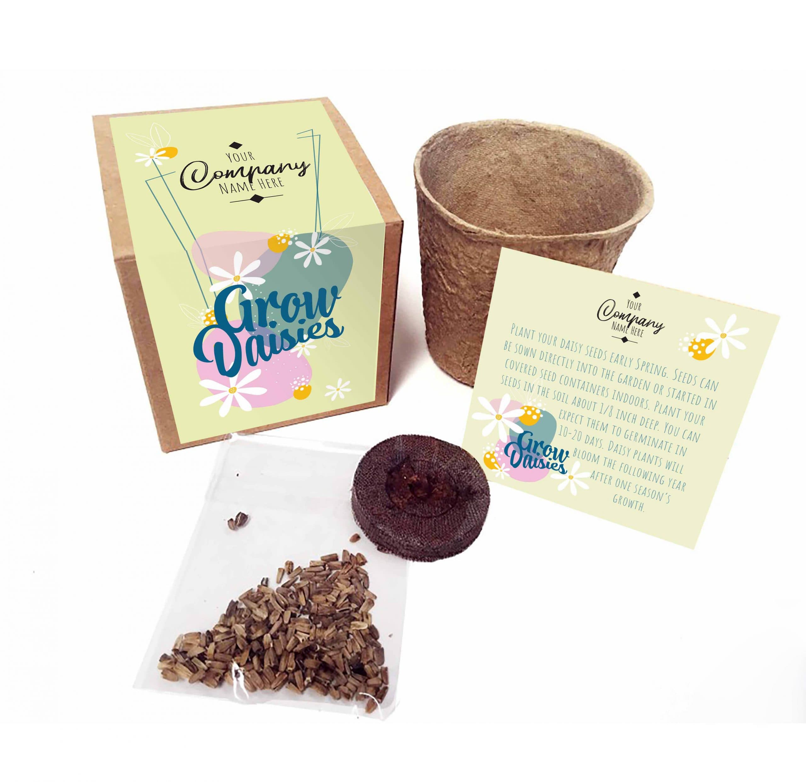 Daisies Plantable Grow Kit - Main product view 1