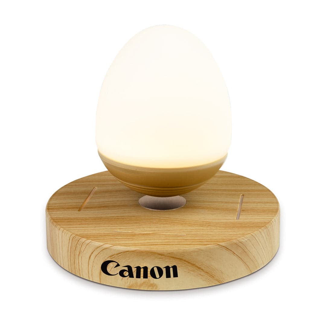 Magnetic Bamboo Floating Egg Speaker - Main product view 1