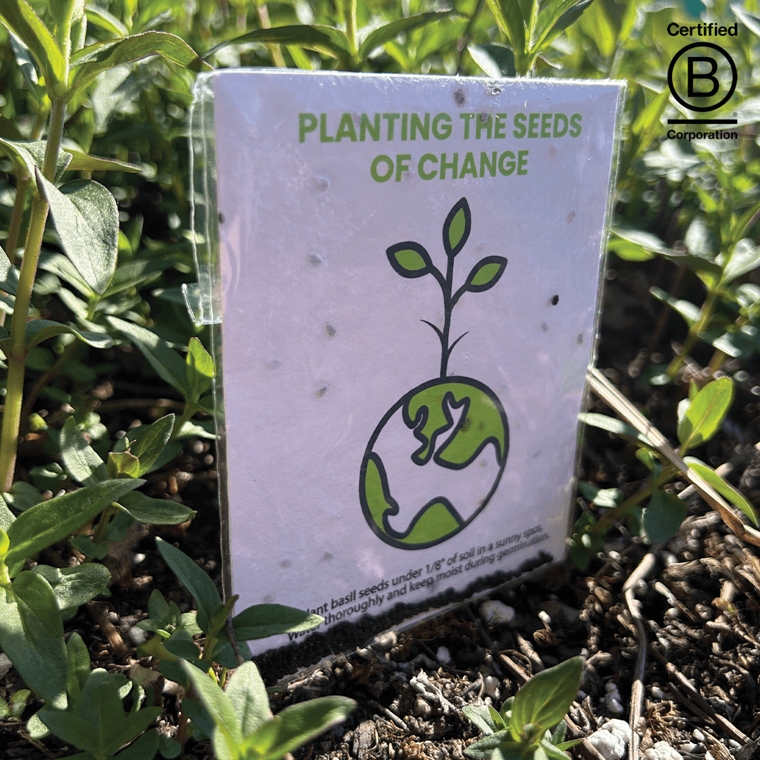 Basil Seed Packet 2 Sided - Main product view 1