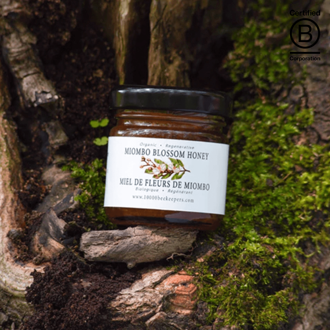 Mini Miombo Blossom Honey - Main product view 1