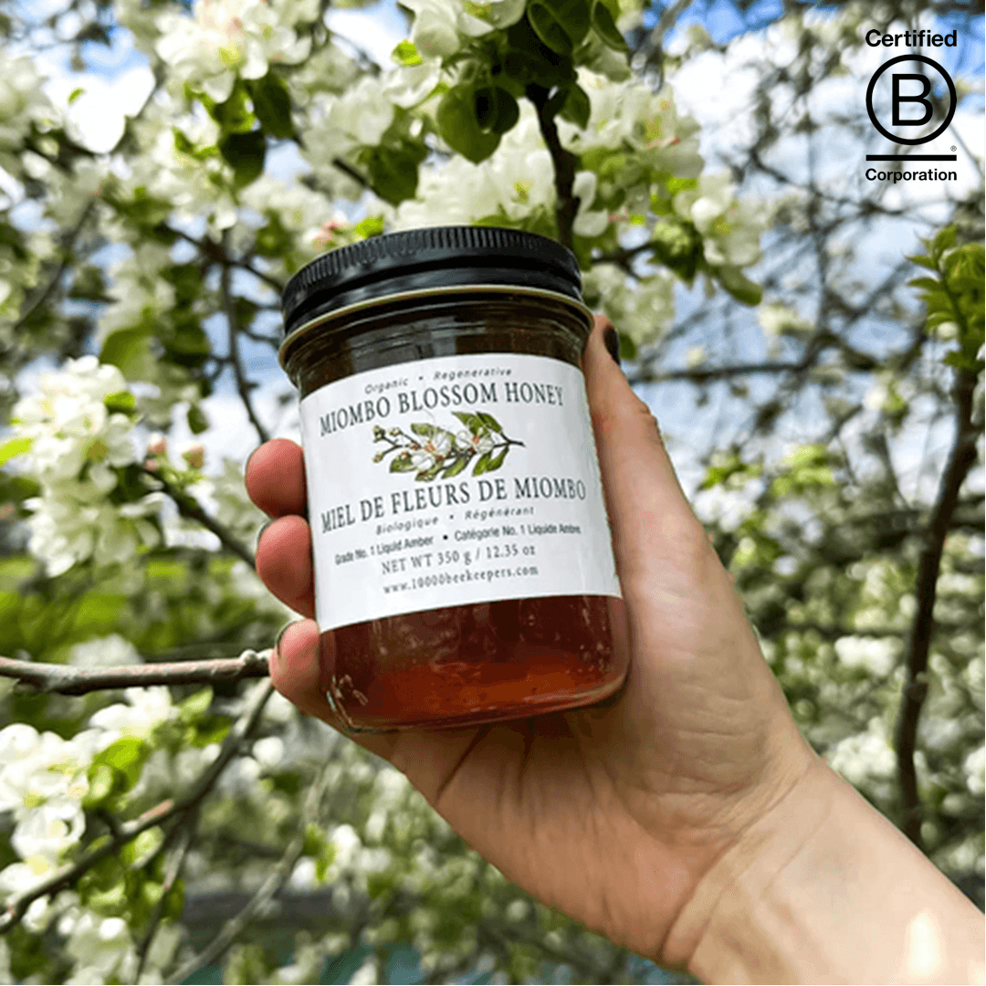 Miombo Blossom Honey - Main product view 1