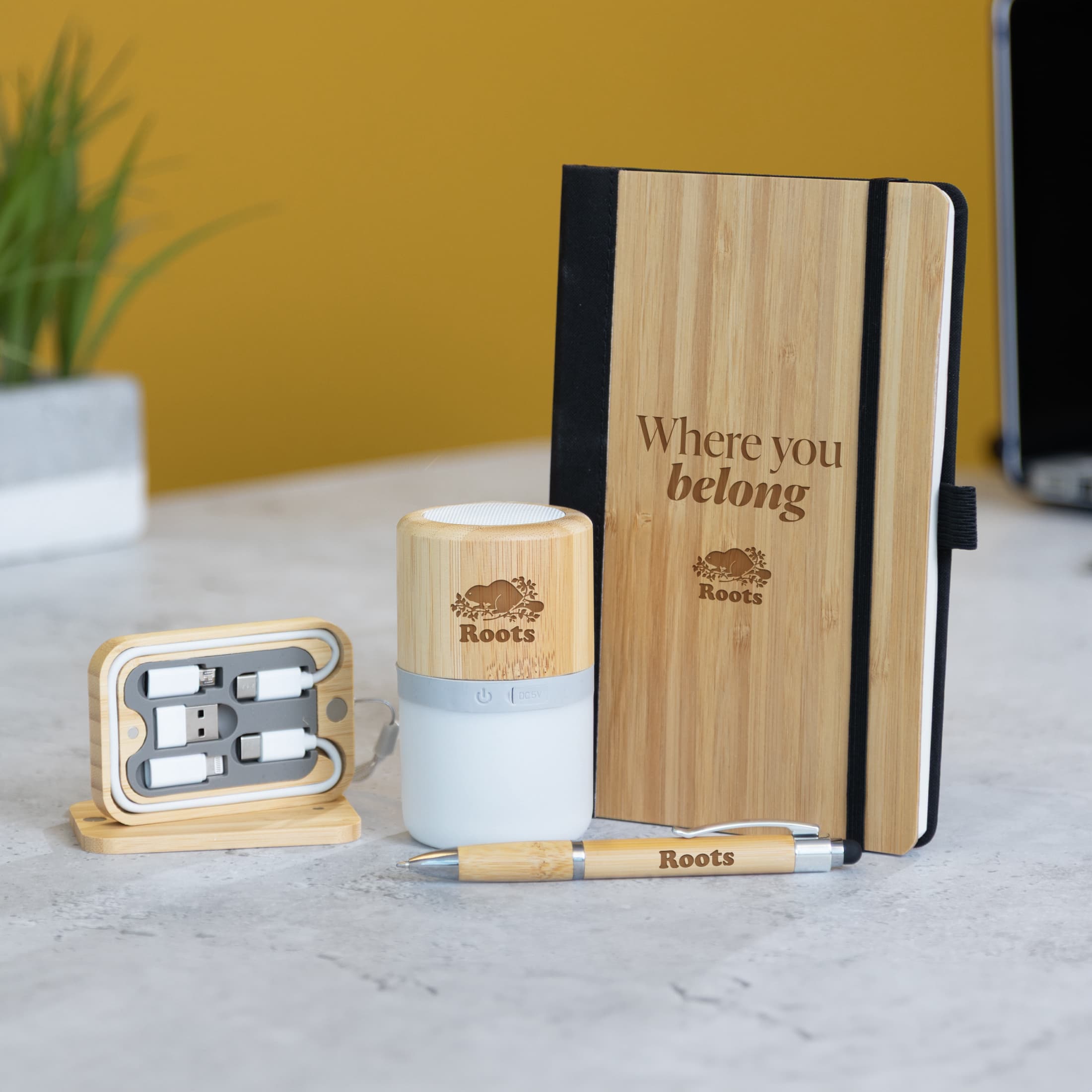 Sustainably Yours Starter Gift Set - Main product view 1