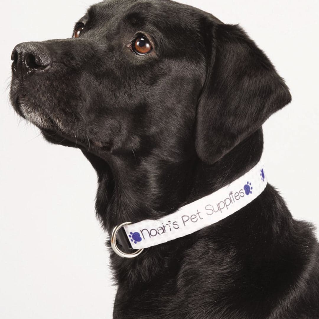 Doggo Adjustable Pet Collar 1 Inch Wide product image 1