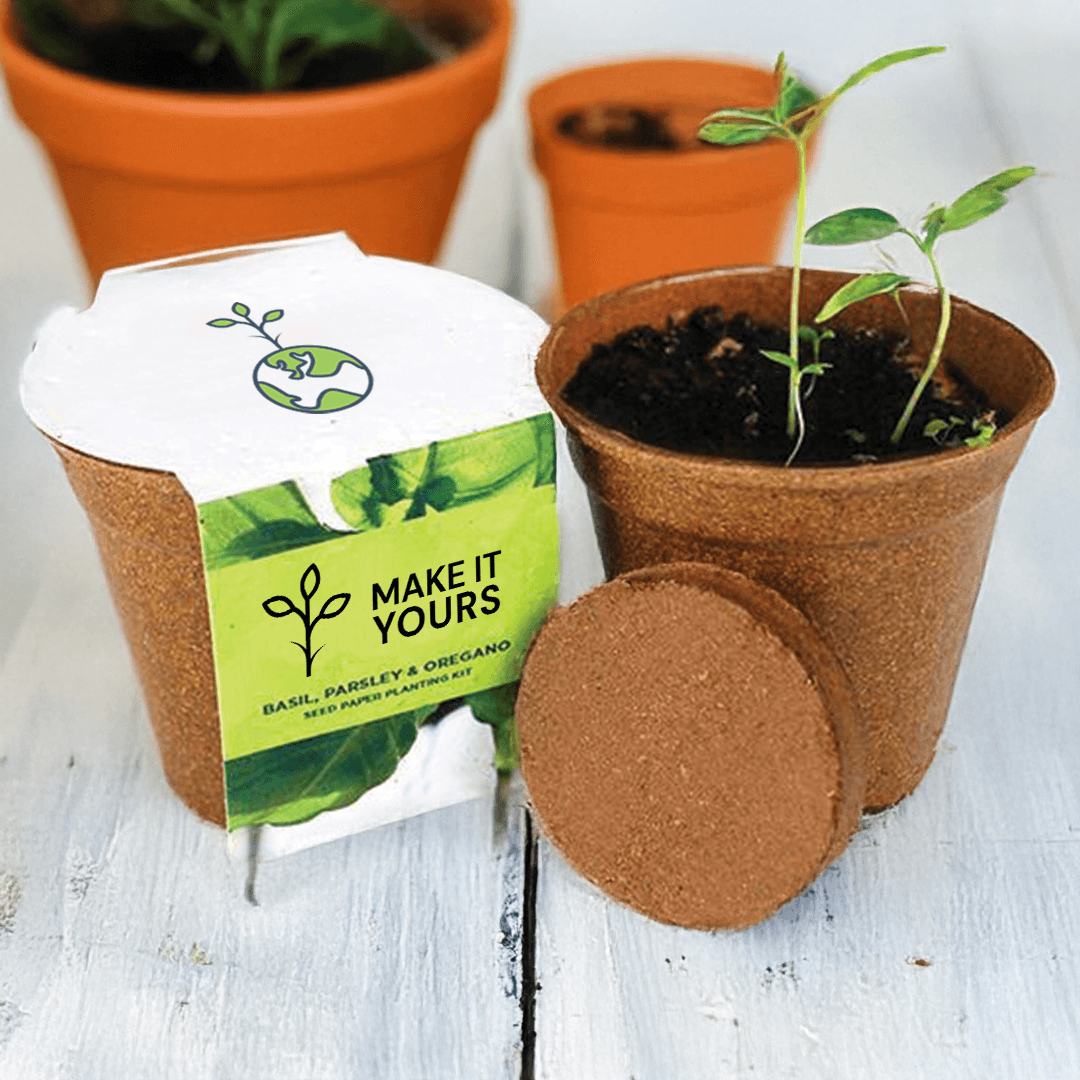 Herb Seed Paper Sprouter Kit - Main product view 1