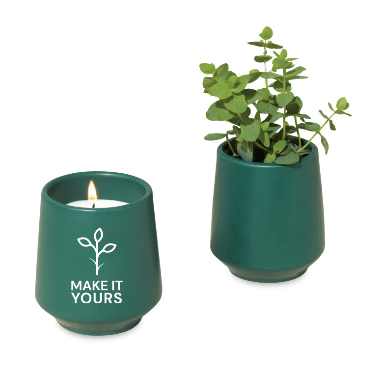 Modern Sprout® Rooted Candle - Thyme product image 2