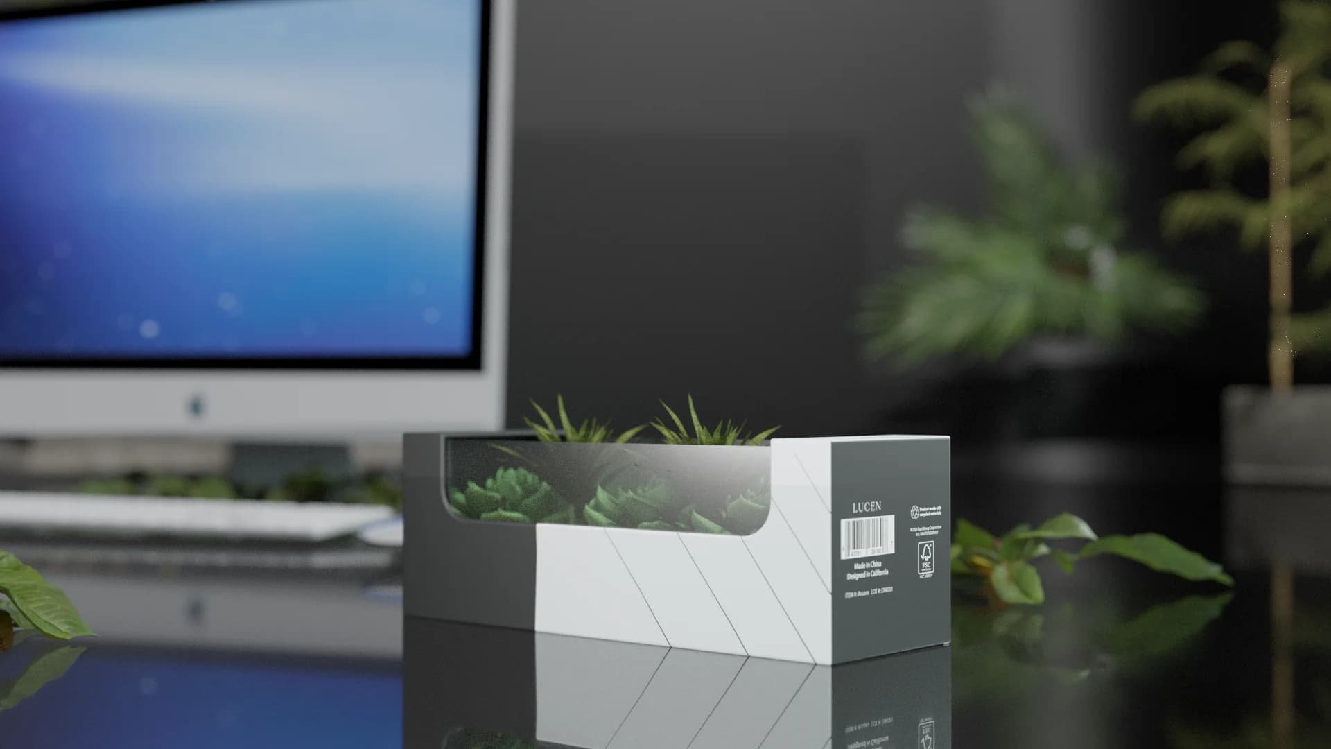 Recycled 500 ml Transparent Bottle with Planter Packaging - Main product view 1