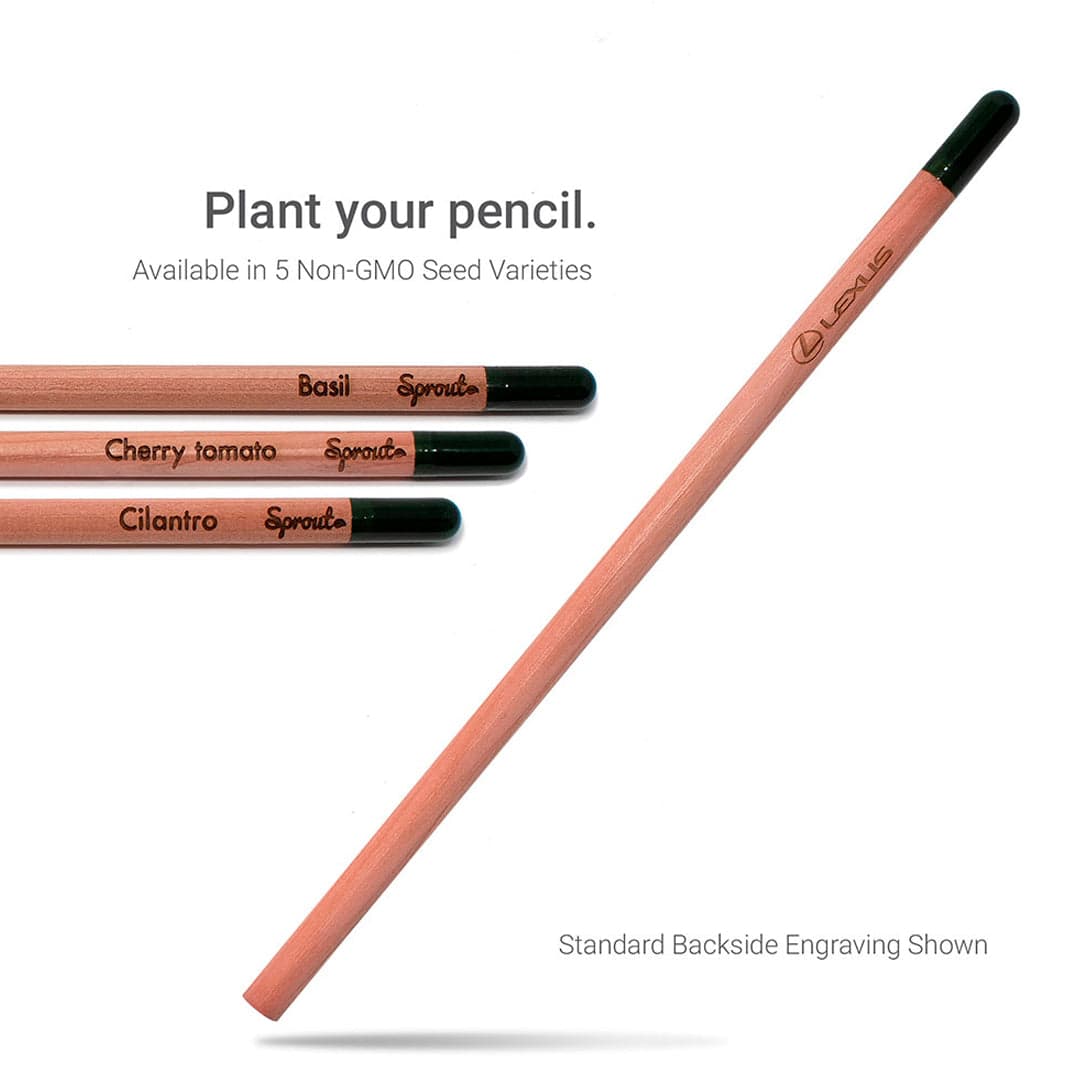 Pencil that Becomes a Plant product image 3