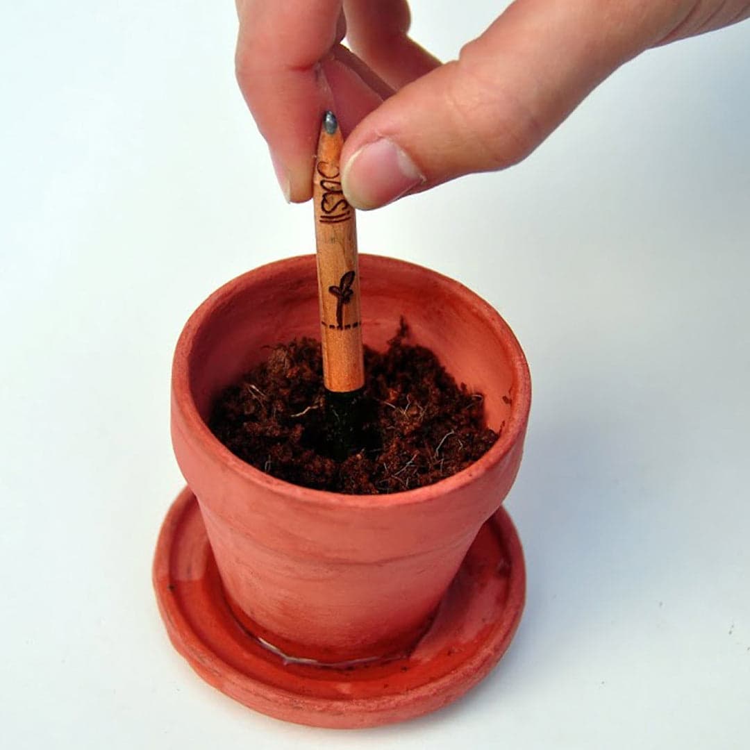 Pencil that Becomes a Plant - Main product view 1