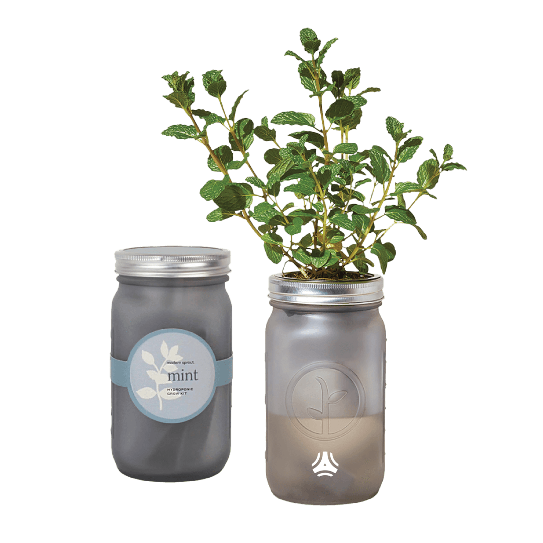 Modern Sprout® Indoor Herb Garden Kit - Mint - Main product view 1