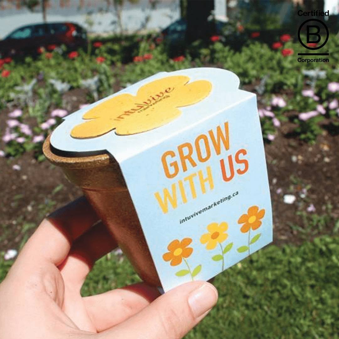 Flower Power Seed Paper Sprouter Kit product image 4