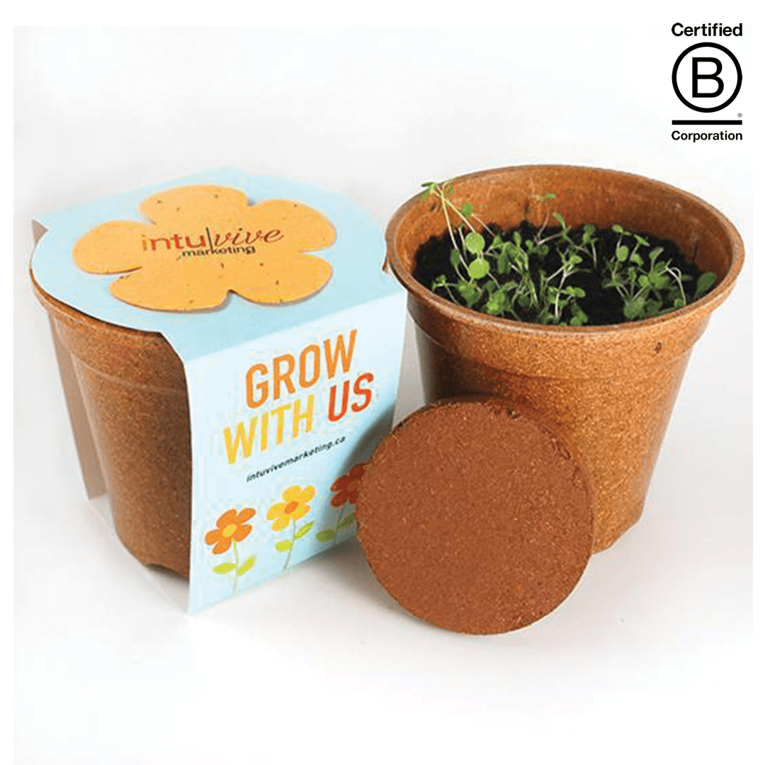 Flower Power Seed Paper Sprouter Kit - Main product view 1