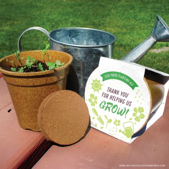 Wildflower Seed Paper Sprouter Kit - Main product view 1