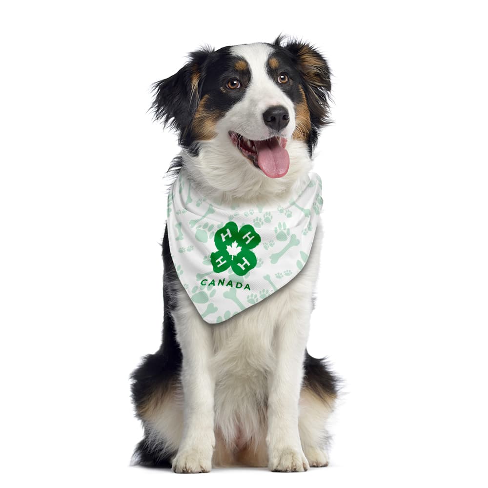 Made in Canada Doggie Bandana - Main product view 1