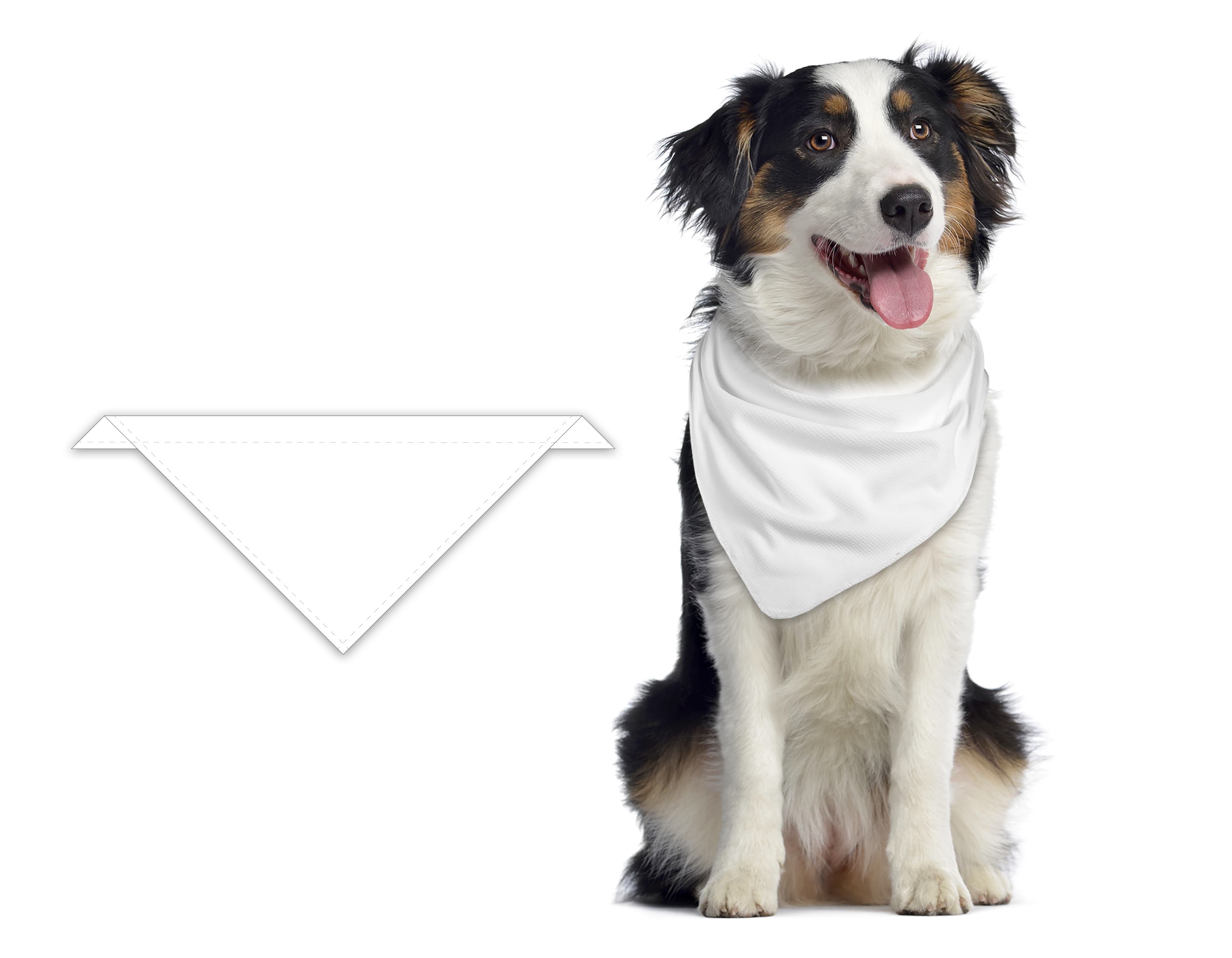 Made in Canada Doggie Bandana product image 4